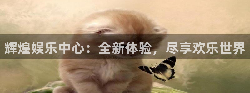 万向娱乐：辉煌娱乐中心：全新体验，尽享欢乐世界