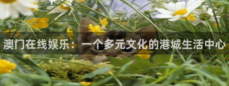 万向娱乐：澳门在线娱乐：一个多元文化的港城生活中心