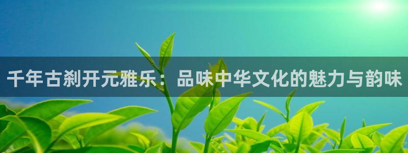 万向娱乐：千年古刹开元雅乐：品味中华文化的魅力与韵味