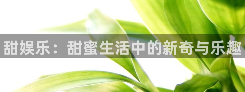 万向娱乐注册登录：甜娱乐：甜蜜生活中的新奇与乐趣