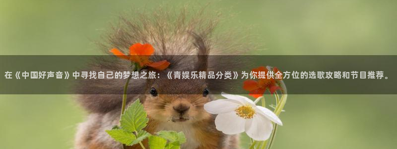 万向娱乐：在《中国好声音》中寻找自己的梦想之旅：《青娱乐精品分类》为你提供全方位的选歌攻略和节目推荐。