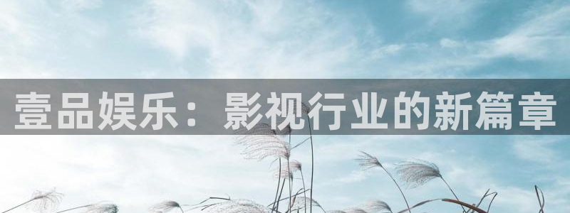 万向娱乐app：壹品娱乐：影视行业的新篇章