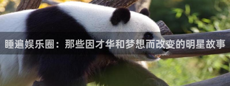 万向娱乐：睡遍娱乐圈：那些因才华和梦想而改变的明星故事