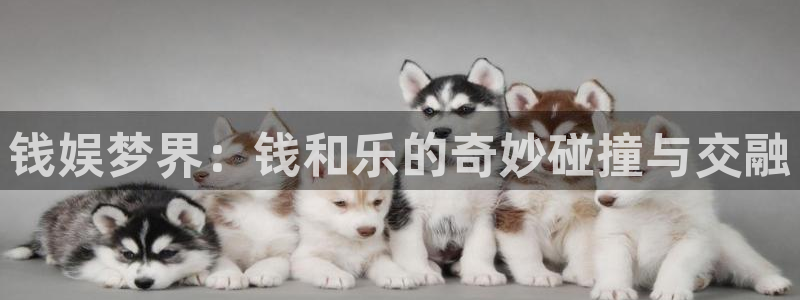 万向娱乐app：钱娱梦界：钱和乐的奇妙碰撞与交融