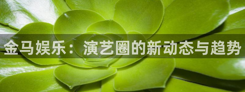 万向娱乐app：金马娱乐：演艺圈的新动态与趋势